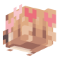 3D Render Back