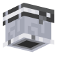 3D Render Back