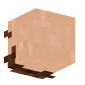 3D Render Back