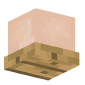 3D Render Back