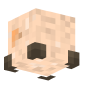 3D Render Back