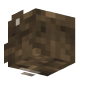 3D Render Back