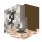 3D Render Back