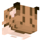 3D Render Back