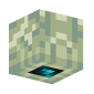3D Render Back