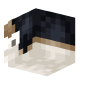 3D Render Back
