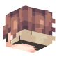 3D Render Back
