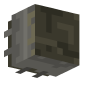 3D Render Back