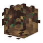 3D Render Back