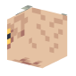 3D Render Back