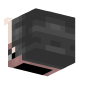 3D Render Back
