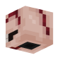 3D Render Back