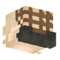 3D Render Back