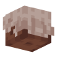 3D Render Back