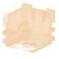 3D Render Back