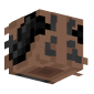 3D Render Back