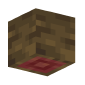 3D Render Back