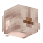 3D Render Back