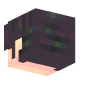 3D Render Back