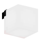 3D Render Back
