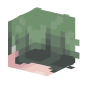 3D Render Back