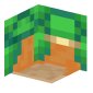 3D Render Back