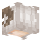3D Render Back