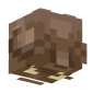 3D Render Back