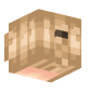 3D Render Back