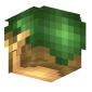 3D Render Back