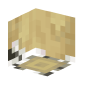3D Render Back