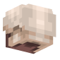 3D Render Back