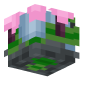3D Render Back