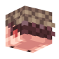 3D Render Back
