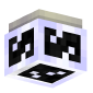 3D Render Back