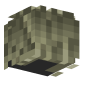 3D Render Back