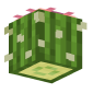3D Render Back