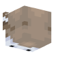 3D Render Back
