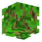 3D Render Back