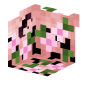 3D Render Back