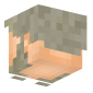 3D Render Back