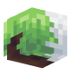 3D Render Back