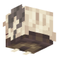 3D Render Back