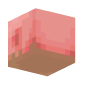3D Render Back