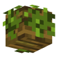 3D Render Back