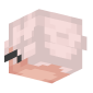 3D Render Back