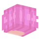 3D Render Back