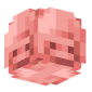 3D Render Back