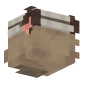 3D Render Back