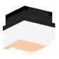 3D Render Back